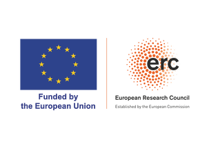 LOGO ERC-FLAG FP.png