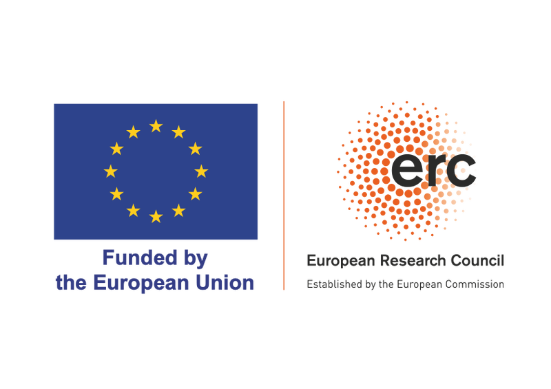 File:LOGO ERC-FLAG FP.png