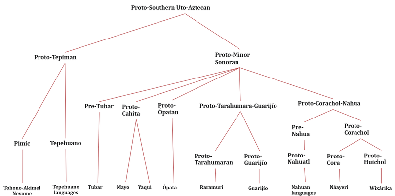 File:SUA groups tree.png