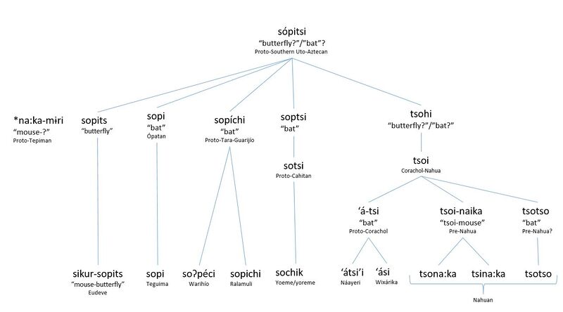 File:Bat scenario 2.JPG